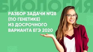 Разбор генетической задачи из ДОСРОЧНОГО варианта ЕГЭ 2020  в 