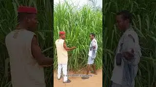 chia mad man ooh #vídeoviral #comedychannel #237comedy #subscrible #memes