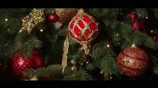 Darrin Williams - What Child Is This? (Visual)