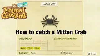 How to Catch A Mitten Crab In Animal Crossing New Horizons!