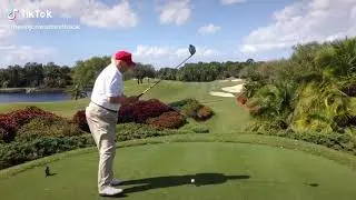 Trump's Golf Swing