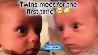 Twins meet each other for the first time..😂😂 so funny. |Chatmusic  