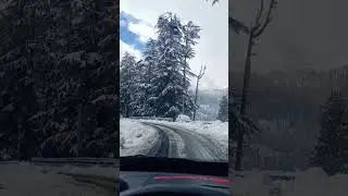 haule haule Ho jayega pyar #shortvideo #shorts #snowfall #viral #fun