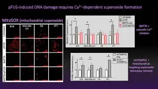 Rosenblatt - Cytosolic Ca+2 Transients and pFUS: Reactive Oxygen Species, DNA Damage (Poster)(2020)