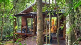 Crater Lakes Rainforest Cottages