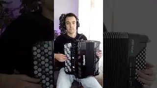Я - это ты, ты - это я ( accordion cover)