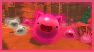 booping every slime in slime rancher
