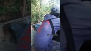 ikut nelayan mancing lewat hutan bakau yang rimbun