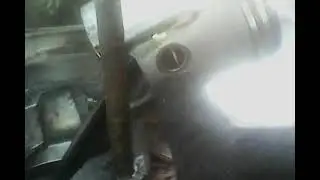 к чему приводит сальник муравей который во время не заменить