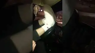 Жиза?😂 