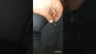 Ушёл с завода, улетел на Родину. Машина для знакомой.