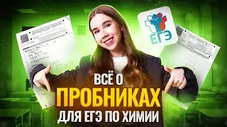 Всё о пробниках для ЕГЭ по Химии: зачем решать? I ЕГЭ по Химии I Умскул