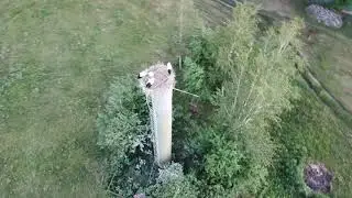 Лелеки DJI 0185