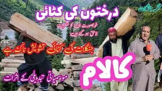 Tree Cutting Near Desan Meadows, Swat | Concerns Over Deforestation Amidst Winter Preparations