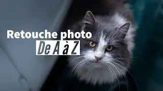 I'm retouching a cat photo from start to finish using Lightroom and Photoshop.