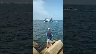 Это была отличная рыбалка!  #fishing #рыбалка #рыба #fish #сарган #море