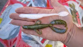 Walmart's BEST Kept Secret for Budget Fishing!