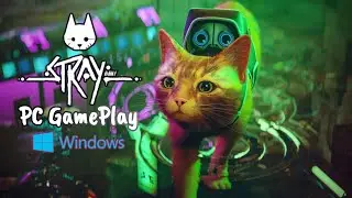 Stray Gameplay PC Walkthrough 2024 Expert Tips Revealed