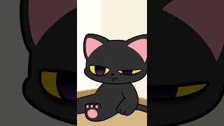 Tired cat