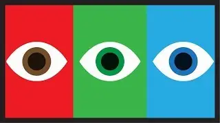 ¿Cómo funciona la vista?