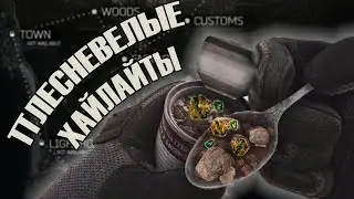 [EFT] // ПЛЕСНЕВЕЛЫЕ ХАЙЛАЙТЫ // РЕЙДЫ УРОВНЯ /b/