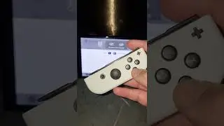 Nintendo Switch How To Change Controller Grip/Order