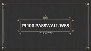 PL100 Fw 21.02 Passwall WSS