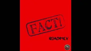 Machel Montano x Problem Child ft. Ashleia - Facts (DJ Junky Roadmix)