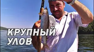 Рыбалка хариуса на покатуху. Лодка Обь-1 YAMAHA 25 NWCS