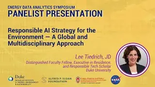 Responsible AI Strategy for the Environment — A Global and Multidisciplinary Approach