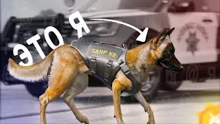 В СОБАЧЬЕЙ ШКУРЕ — GTA 5 ROLEPLAY | YDDY:RP 