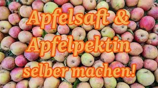 Apfel-DIY: Apfelsaft & Apfelpektin selber herstellen