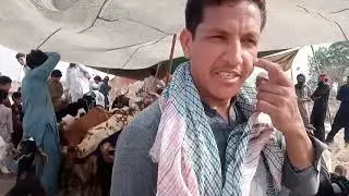 palosi mandi 2021 khyber pukhtukhwa Peshawar