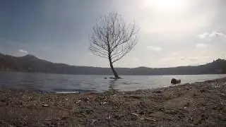 SJCM0040 - Time Lapse - Gandolfo Lake - Tree