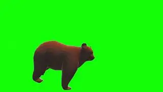 Bear (Low Poly) Running Green Screen
