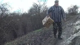 28 декабря  Спорт  белая  не пришла