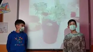 La botánica