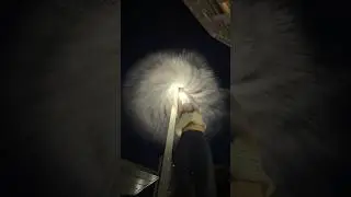 How to make viral water fireworks 💦 #diy #craft #satisfying #viral #trend #howto #water #howto