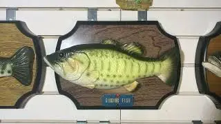 Jiada Singing fish