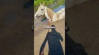 Horse And Owner Get Stuck In Quicksand! 🐎😨