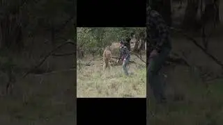 Алгоритмы YouTube #shorts