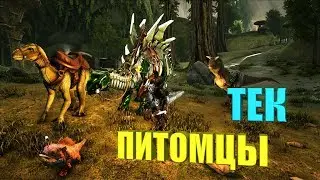 The domestication of Tek Raptor and Stegosaurus - ARK Aberration # 3