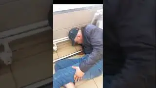 тапки топ