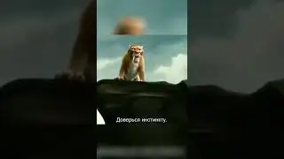Любой кот перед купанием) #shorts #мультик #мультфильм