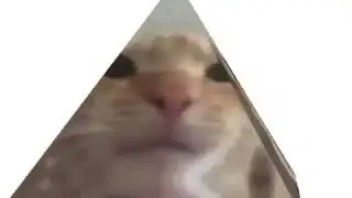 никита крутица
