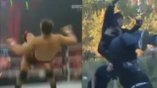Wrestling vs. Backyard Comparison - POWERBOMB