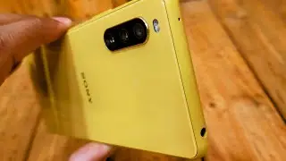 Sony xperia 10 mark iii: The Bumble Bee.