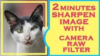 Photoshop Editing with Camera Raw Filter (Quick Sharpen Image)
