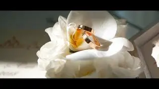 Андрей и Ольга \ 15 сентября