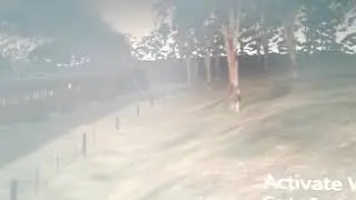 MSTS train crash 10.